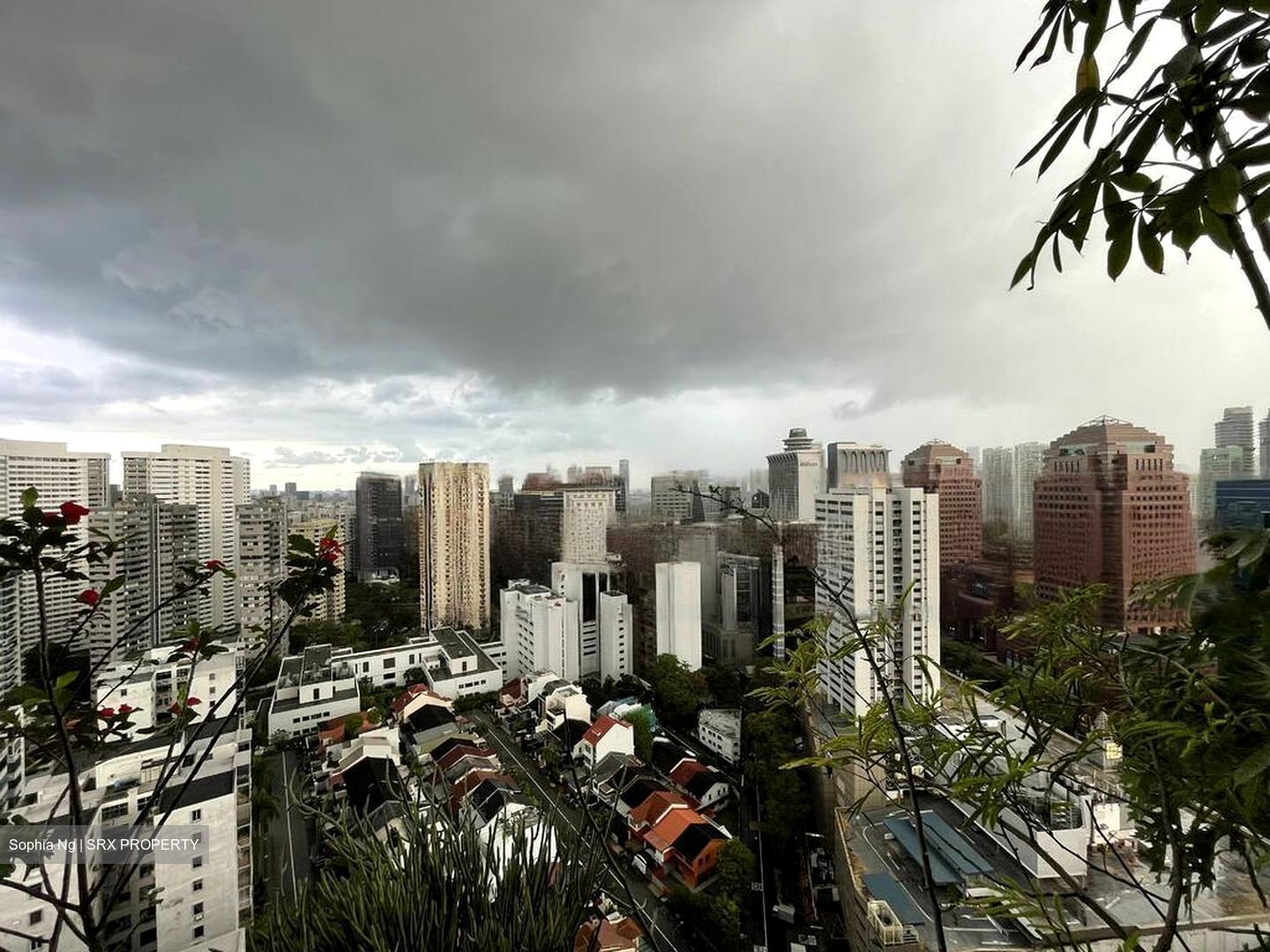 Scotts Square (D9), Apartment #465951981